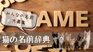 猫の名前辞典 アニメやキャラクターが由来の猫大集合 ネコサマライフ